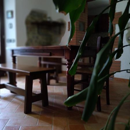 Agriturismo Il Pozzo Campagnatico Exteriér fotografie