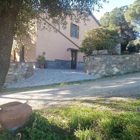 Agriturismo Il Pozzo Campagnatico Exteriér fotografie