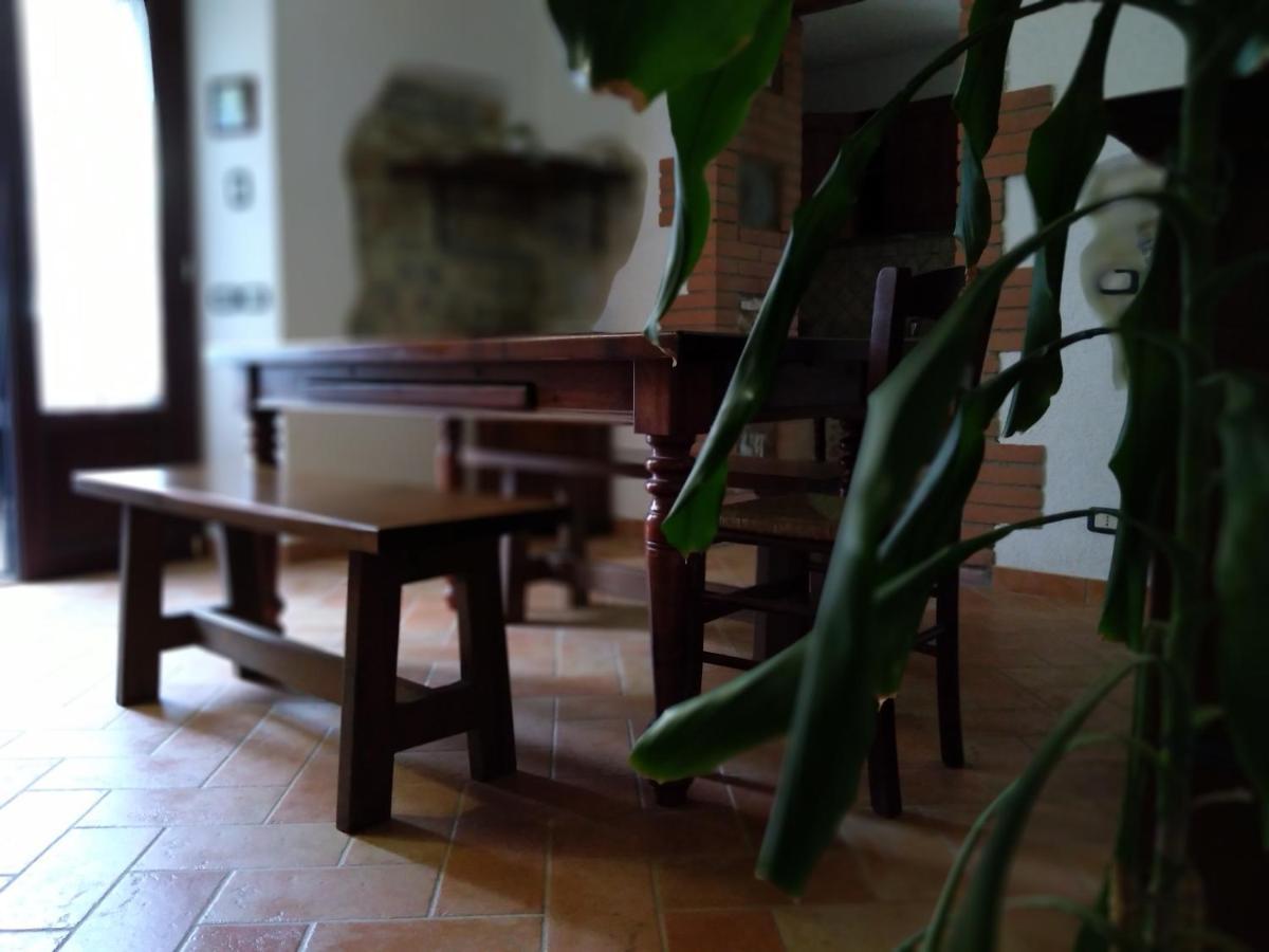 Agriturismo Il Pozzo Campagnatico Exteriér fotografie